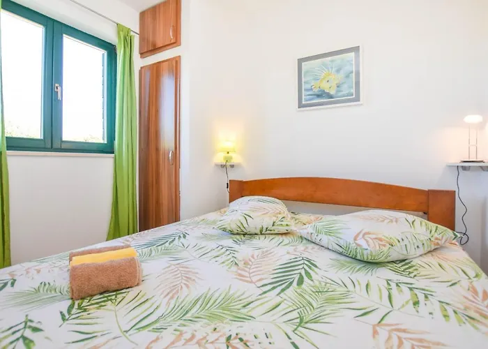 House Oliver Dobropoljana