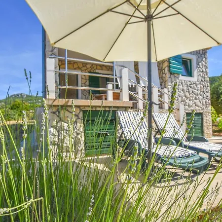 House Oliver Dom wakacyjny *