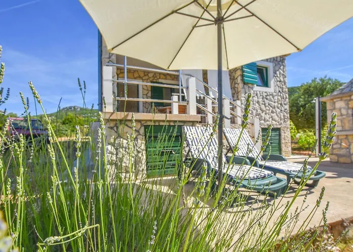 House Oliver Vikendica *