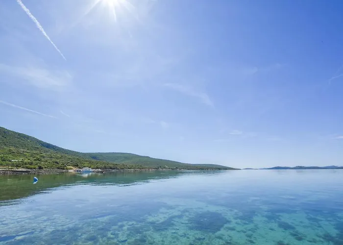 House Oliver Vikendica